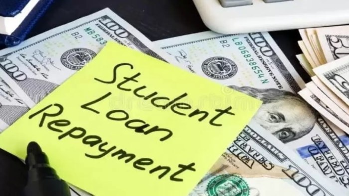 Debt solutions loan student managing