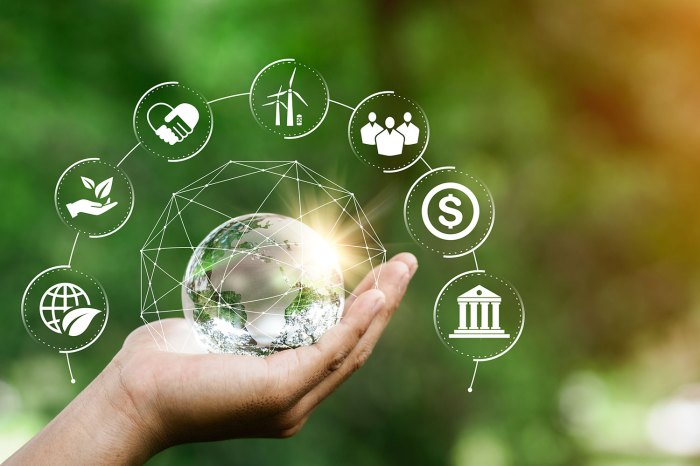 Sustainable principles coursera