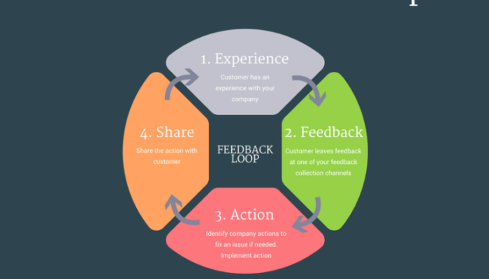 Building a Customer Feedback Loop