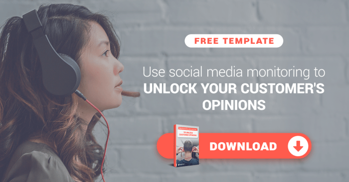 Using Social Media for Customer Feedback