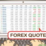 How to trade forex like a professional